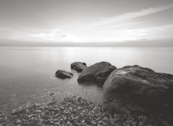 Фрески/Панно ORTOGRAF