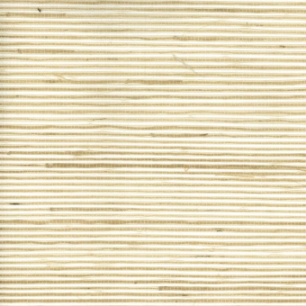 Обои Yate Into the Wild