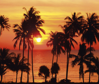 Фрески/Панно ORTOGRAF