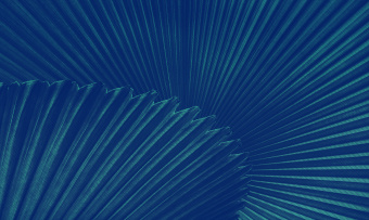 Фотообои Co.De CODE 01