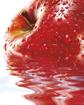 Фрески/Панно ORTOGRAF Кухня