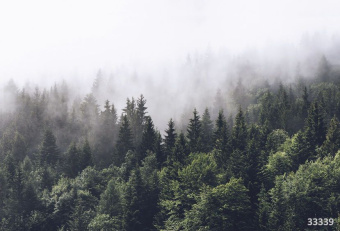 Фрески/Панно ORTOGRAF