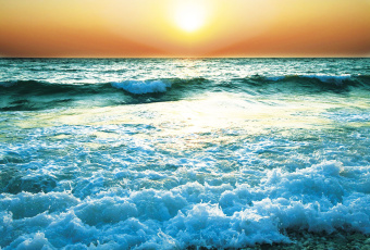 Фрески/Панно ORTOGRAF