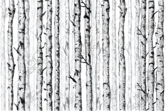 Фотообои My Fresco Природа