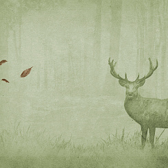  Обои Skinwall Contemporary Collection