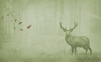  Обои Skinwall Contemporary Collection