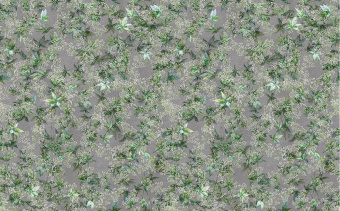 Фотообои Respace Цветы  Эдит Пиаф