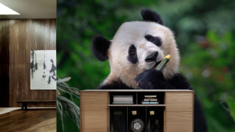 Фотообои Artmegahome Животные