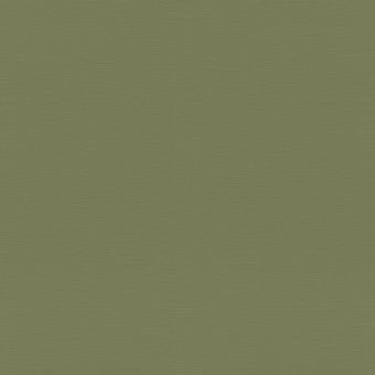 Обои Rasch Allegretto