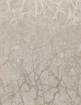 Обои Cassanie Sylvia