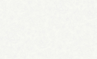 Обои Rasch Bright Whisper