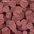 Обои Crocus Crocus 1