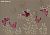 Обои Fromental Modern Chinois