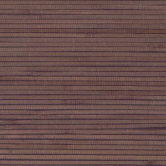 Обои Yate Into the Wild