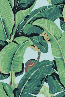 Обои JV LICENZE Scalamandre