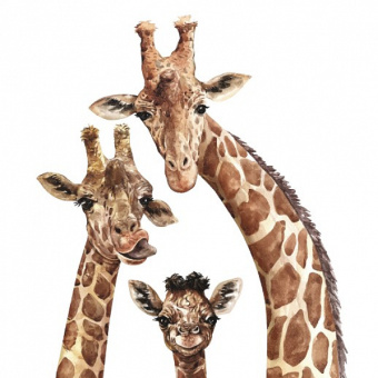 Фотообои Мне обои