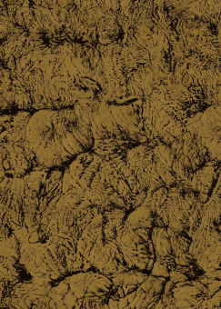 Обои Coordonne Artisan by Bodo Sperlein