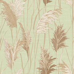 Обои Alessandro Allori Giorgio