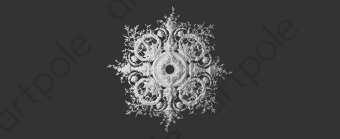 Розетка орнаментальная Artpole