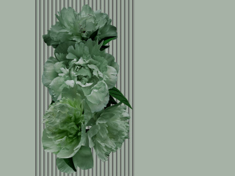 Фотообои Wall Street GREENDAY 22