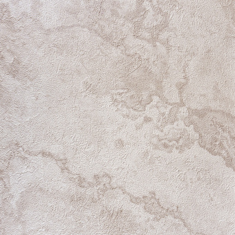 Обои Alessandro Allori Bodega