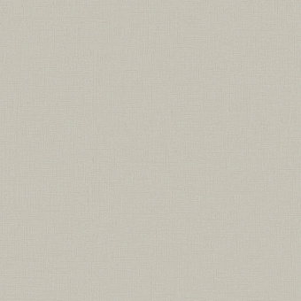 Обои Alessandro Allori Bruni