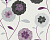 Обои AS Creation San Francisco