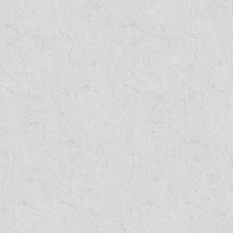 Обои Brewster Evolution 10