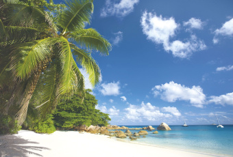 Фрески/Панно ORTOGRAF