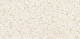 Обои Alessandro Allori Argiano