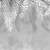Фотообои Мне обои Фотообои Мне обои