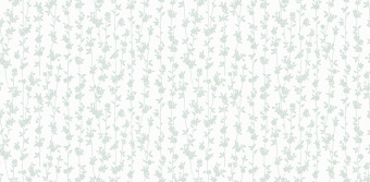 Обои Andrea Rossi BERGGI