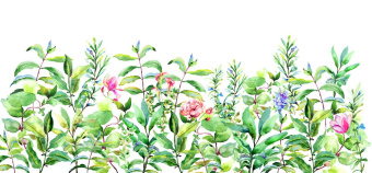 Фотообои Respace Цветы  Ницца