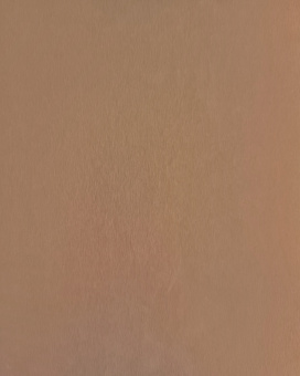 Стеновая панель Wallpanels