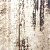 Обои Print 4 Creazioni