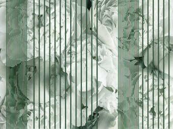 Фотообои Wall Street GREENDAY 22