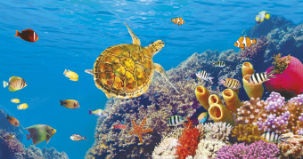 Фрески/Панно ORTOGRAF