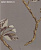 Обои Prestigious Textiles View
