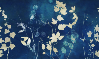 Фотообои Co.De CODE 03