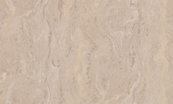 Обои Cassanie Xenia