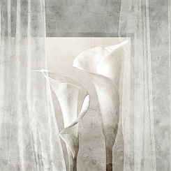  Обои Skinwall Contemporary Collection