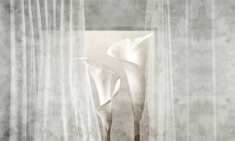  Обои Skinwall Contemporary Collection