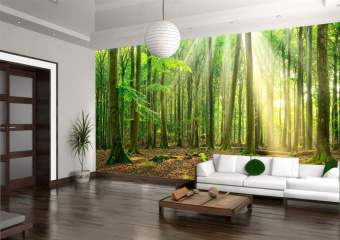 Фотообои Artmegahome Леса и реки