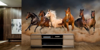 Фотообои Artmegahome Животные