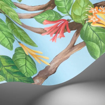 Обои Cole & Son Selection of Hummingbirds