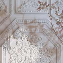 Фотообои Wall Street VETVE 22