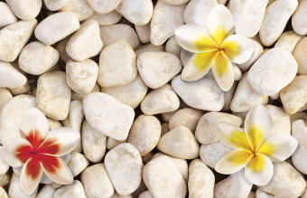 Фрески/Панно ORTOGRAF