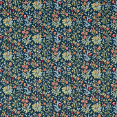 Morris & Co  Emery Walker’s House Collection