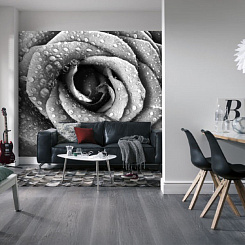 Обои Artmegahome Черно-белые