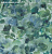 Обои Designers Guild Zardozi